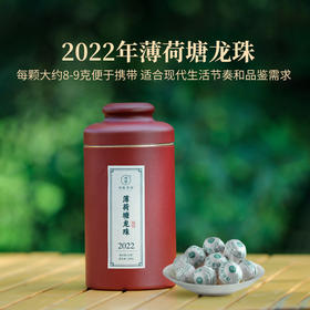 2022年薄荷塘龙珠罐装100克云南易武普洱生茶甜润甘爽龙珠茶8-9克/粒