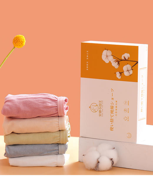 [小滋心选]【活动价￥49.9/3盒 | 到手15条】安娜与国王一次性纯棉内裤 商品图0