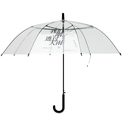 漫游伞 结实抗风全透明直杆自动雨伞 OWSPACE原创 商品图4