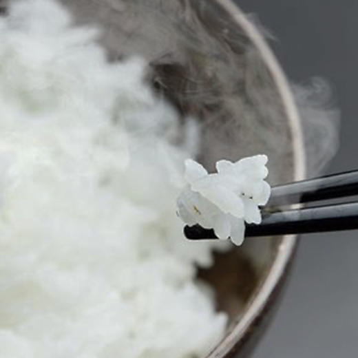 「东北有机响水大米」2斤装 | 当季新米响水健康粳米人工种植真空包装 | 阴虚内热养生 | 元和好物迷罗亲研 商品图4