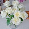 新鲜鲜花  骄傲白玫瑰1束（10支） 商品缩略图2