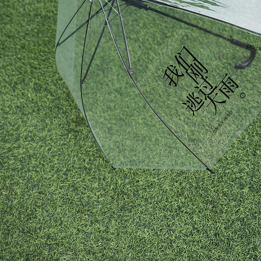 漫游伞 结实抗风全透明直杆自动雨伞 OWSPACE原创 商品图1
