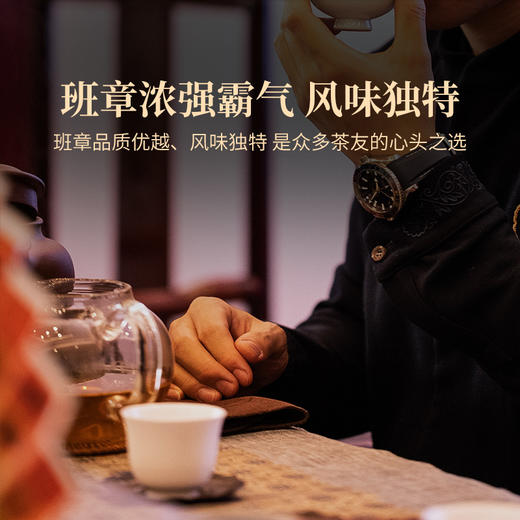 2024年双陈名山春茶老班章天门山薄荷塘云南普洱生茶散茶茶叶200克/罐 商品图2