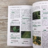 绿叶类蔬菜病虫害诊治原色图鉴（第三版） 商品缩略图3