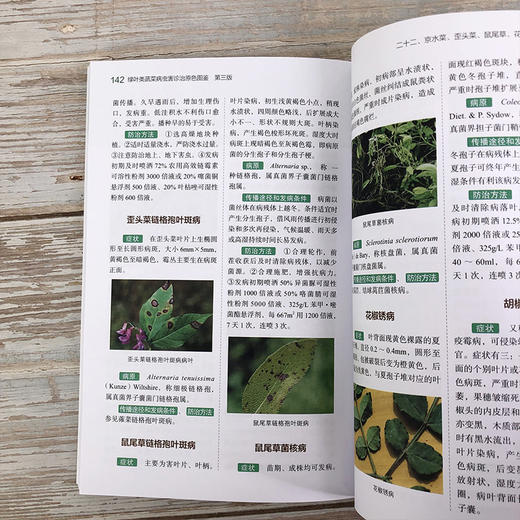 绿叶类蔬菜病虫害诊治原色图鉴（第三版） 商品图3