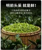【绮】西湖龙井官方古法包装 250g 商品缩略图1