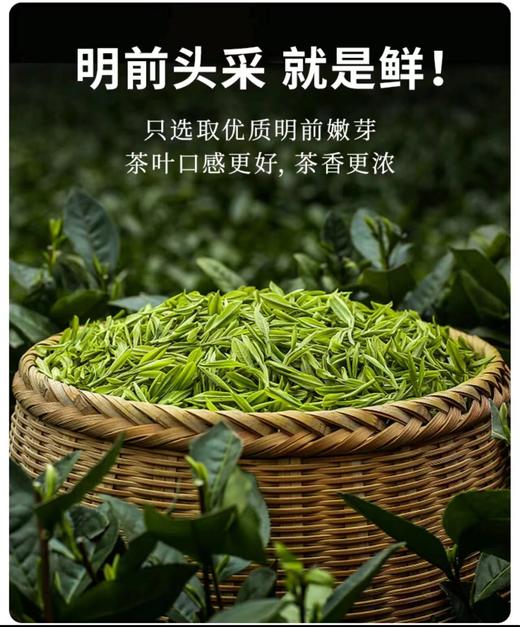 【绮】西湖龙井官方古法包装 250g 商品图1