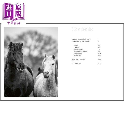 【中商原版】Wild Horses 进口艺术 野马摄影集 商品图1