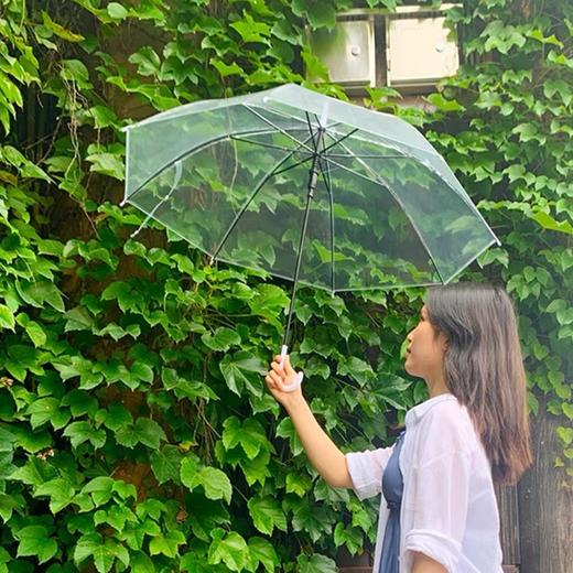 雨伞长柄手动透明小雨伞 1把 小清新透明伞少女儿童手绘雨伞 商品图5