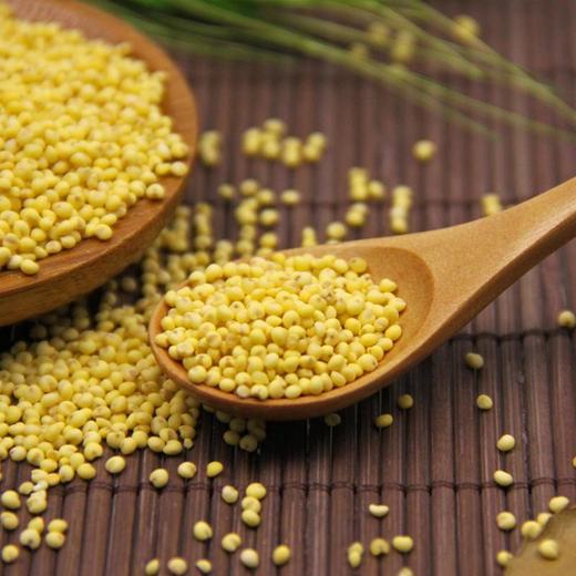 有机大黄米 420g/袋【京东快递送货上门】 商品图1