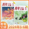 青年文摘杂志订阅  青少年故事讲义美文励志图书籍心灵鸡汤励志书籍  商品缩略图3