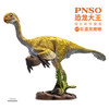 PNSO恐龙大王成长陪伴模型23巨盗龙姗姗 商品缩略图4