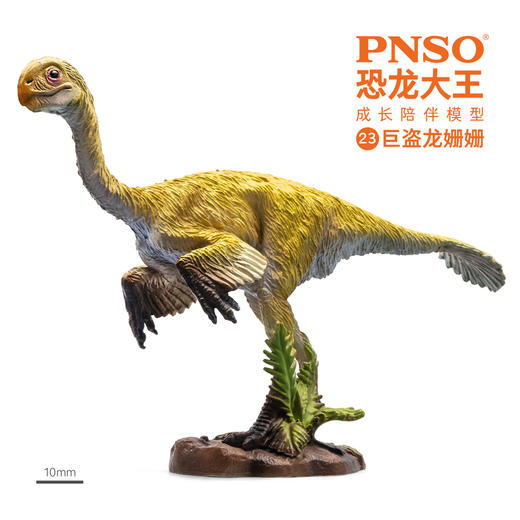 PNSO恐龙大王成长陪伴模型23巨盗龙姗姗 商品图4