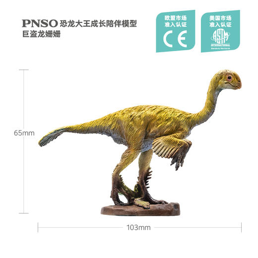 PNSO恐龙大王成长陪伴模型23巨盗龙姗姗 商品图1