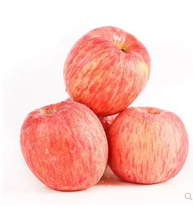 【新之禾】山东烟台红富士苹果
