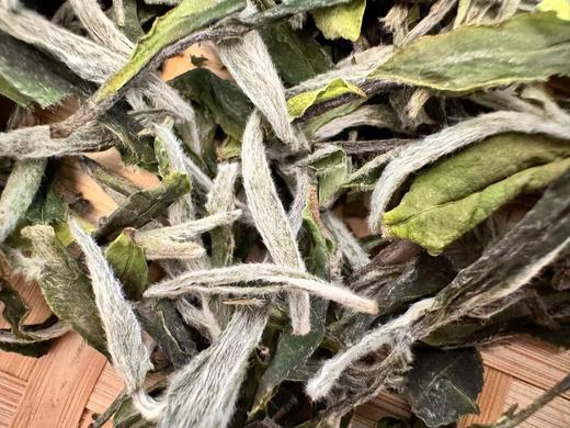 24春 荒野 花果香  一级牡丹 400克 或900克 商品图3