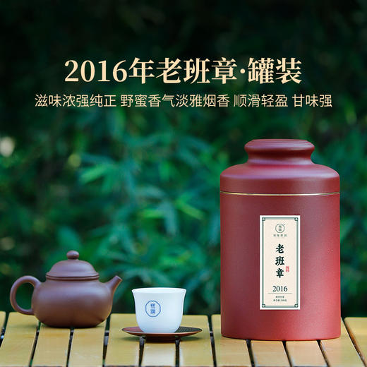 2024年双陈名山春茶老班章天门山薄荷塘云南普洱生茶散茶茶叶200克/罐 商品图0