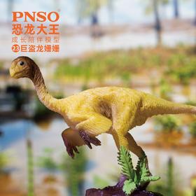 PNSO恐龙大王成长陪伴模型23巨盗龙姗姗