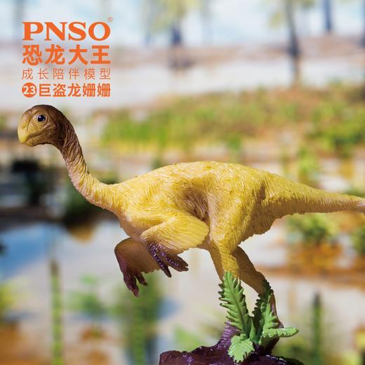 PNSO恐龙大王成长陪伴模型23巨盗龙姗姗 商品图0