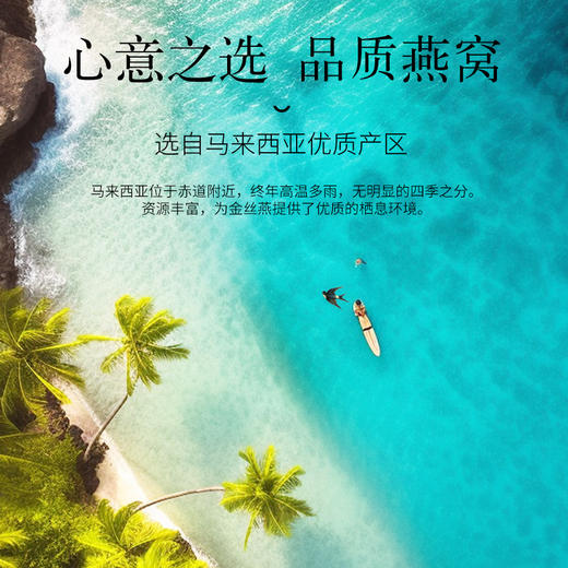 【正宗同仁堂品牌】北京同仁堂马来西亚原产干燕窝(金标款)30克 可溯源 礼盒包装SY 商品图3