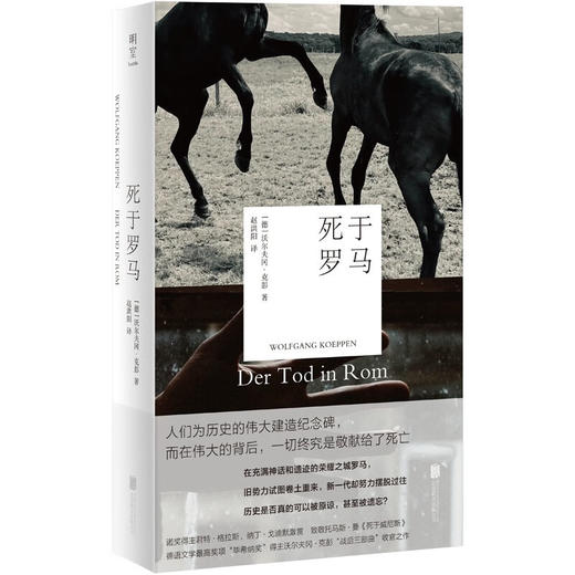 死于罗马 沃尔夫冈·克彭  战后三部曲 移民 铁皮鼓致敬死于威尼斯 罗马 商品图0