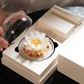 菜菜X呈白瓷花香氛礼盒|是香器也是艺术品，非遗工艺一天只做三朵花