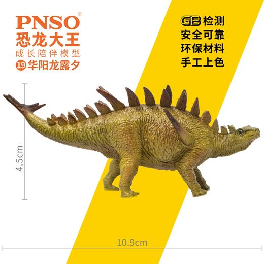 PNSO恐龙大王成长陪伴模型19华阳龙露夕 商品图1