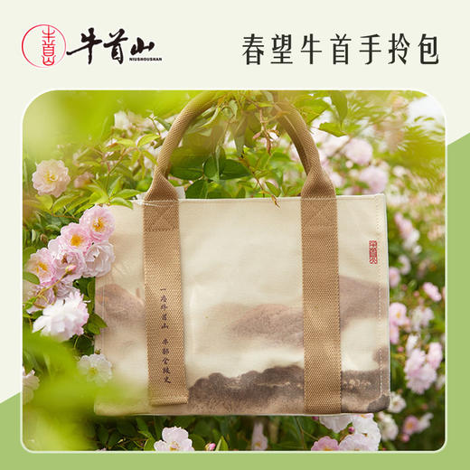 牛首山春望国风帆布袋山水禅意大容量上班通勤包单肩袋购物手提包 商品图4