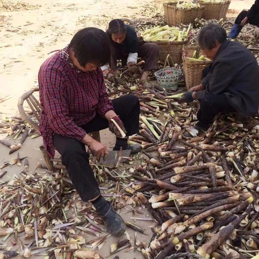 地道宁波奉化油焖笋 8小时古法烤制 溪口镇雷笋 脆嫩下饭 商品图8