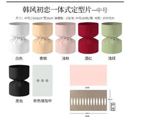 韩风初恋一体式定型片