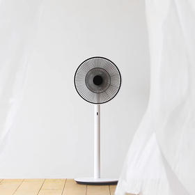 BALMUDA巴慕达电风扇日本进口超静音落地台式扇果岭循环家用风扇