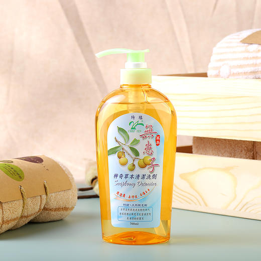 无患子草本清洁洗剂700ml 家庭蔬果农药洗洁 洗碗 多用途 环保 绮缘70年品质保证 台湾原装 商品图2