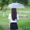 雨伞长柄手动透明小雨伞 1把 小清新透明伞少女儿童手绘雨伞 商品缩略图1