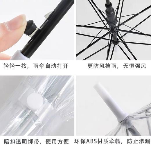 雨伞长柄手动透明小雨伞 1把 小清新透明伞少女儿童手绘雨伞 商品图4