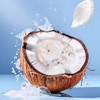 雪燕耳 有机牛奶椰香燕窝粥 252克/碗 商品缩略图4