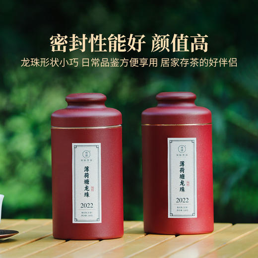 2022年薄荷塘龙珠罐装100克云南易武普洱生茶甜润甘爽龙珠茶8-9克/粒 商品图1