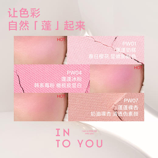 【分销供货】蓬蓬枕头单色腮红 商品图2