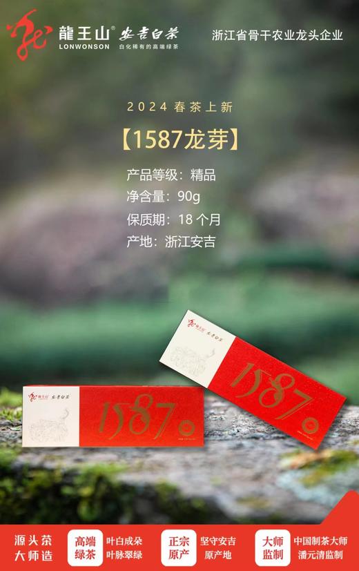 龙王山安吉白茶90g 1587系列 1587-龙芽 商品图1