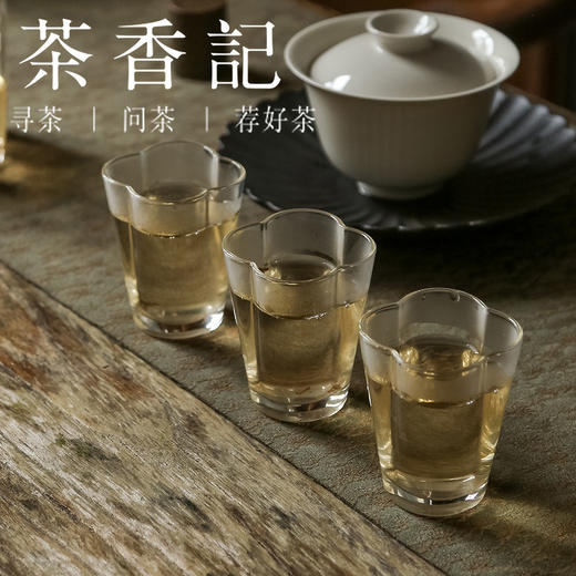 茶香记 宋韵老树白牡丹013 福鼎白茶 可可香 毫香蜜韵 商品图5