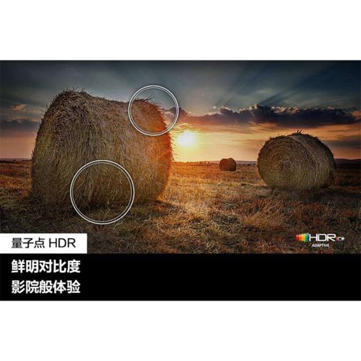 三星（SAMSUNG）QLED量子点电视 超薄4K全面屏电视 55英寸/65英寸/75英寸/85英寸 商品图3