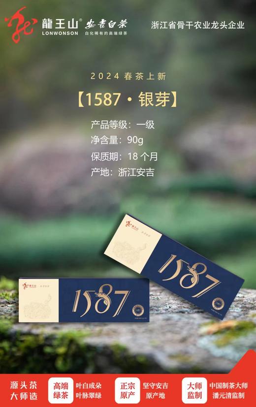 龙王山安吉白茶90g 1587系列 1587-银芽 商品图1