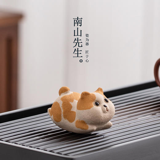 【积分】肥喵茶宠 商品图4