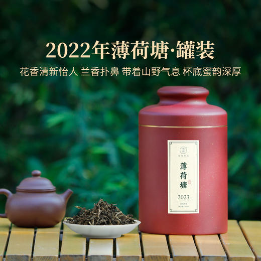 2024年双陈名山春茶老班章天门山薄荷塘云南普洱生茶散茶茶叶200克/罐 商品图5