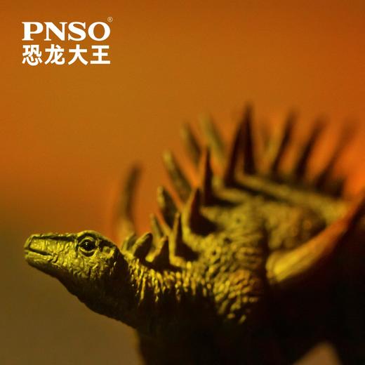 PNSO恐龙大王成长陪伴模型19华阳龙露夕 商品图4