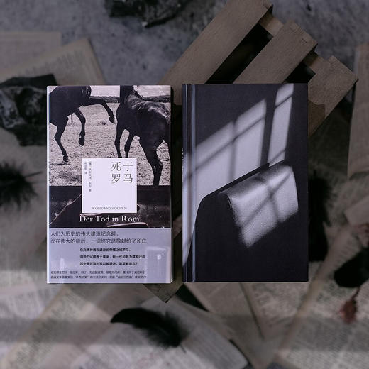 死于罗马 沃尔夫冈·克彭  战后三部曲 移民 铁皮鼓致敬死于威尼斯 罗马 商品图5