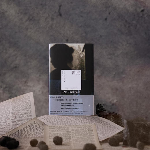 温室 毕希纳奖诺贝尔文学奖之作 沃尔夫冈·克彭  战后三部曲 商品图3