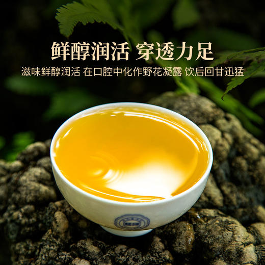2024年双陈名山春茶老班章天门山薄荷塘云南普洱生茶散茶茶叶200克/罐 商品图1