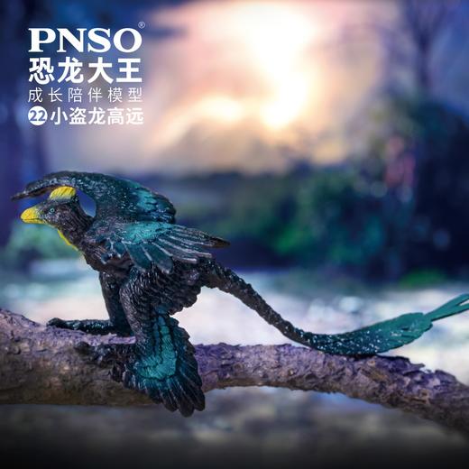 PNSO恐龙大王成长陪伴模型22小盗龙高远 商品图0