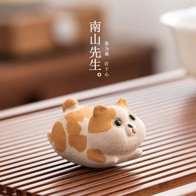 【积分】肥喵茶宠