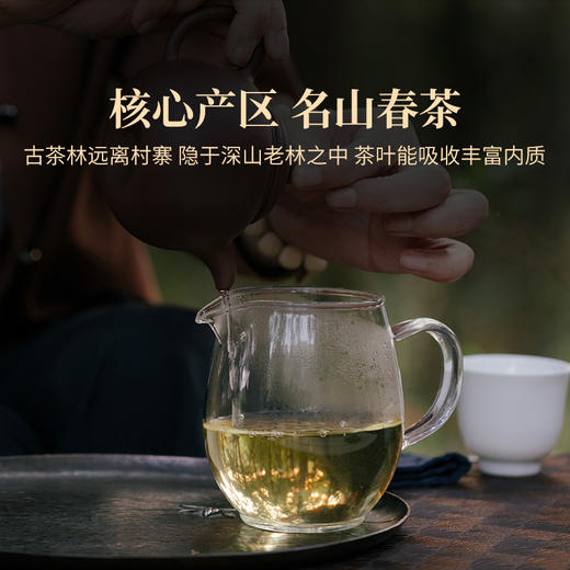 2024年双陈名山春茶老班章天门山薄荷塘云南普洱生茶散茶茶叶200克/罐 商品图4